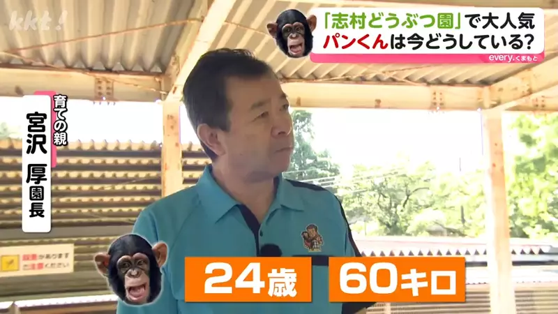 圖片7 圖片7