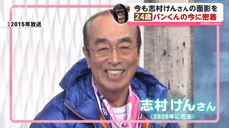 圖片22 圖片22