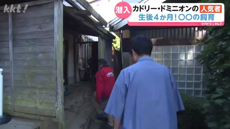 圖片4 圖片4