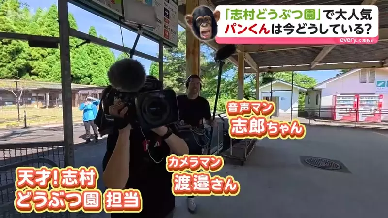 圖片9 圖片9