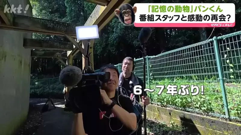 圖片10 圖片10