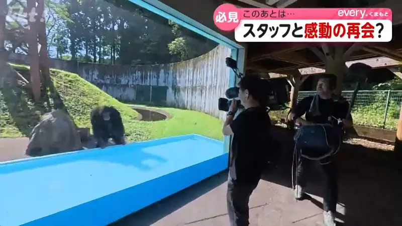 圖片11 圖片11