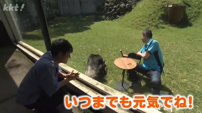 圖片27 圖片27