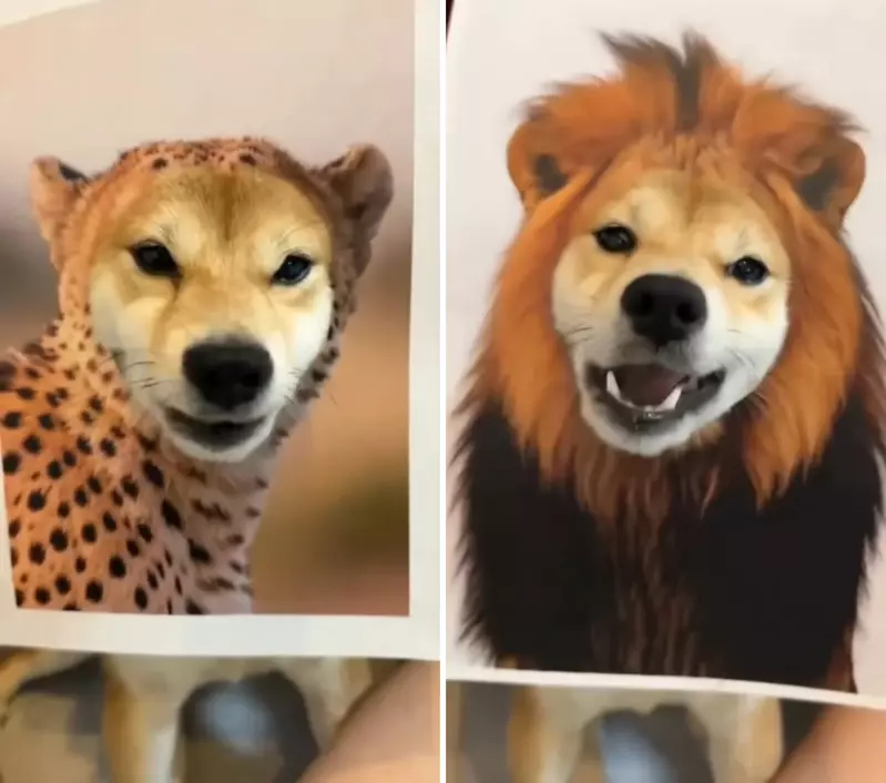 圖片3 圖片3