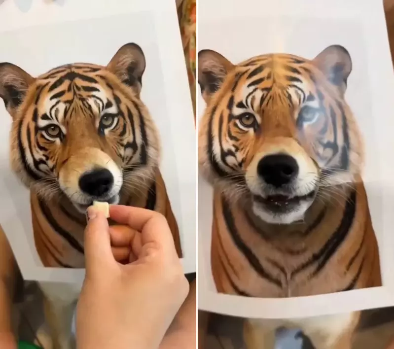 圖片2 圖片2