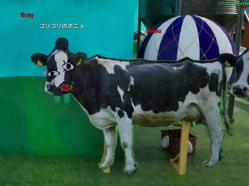 圖片8