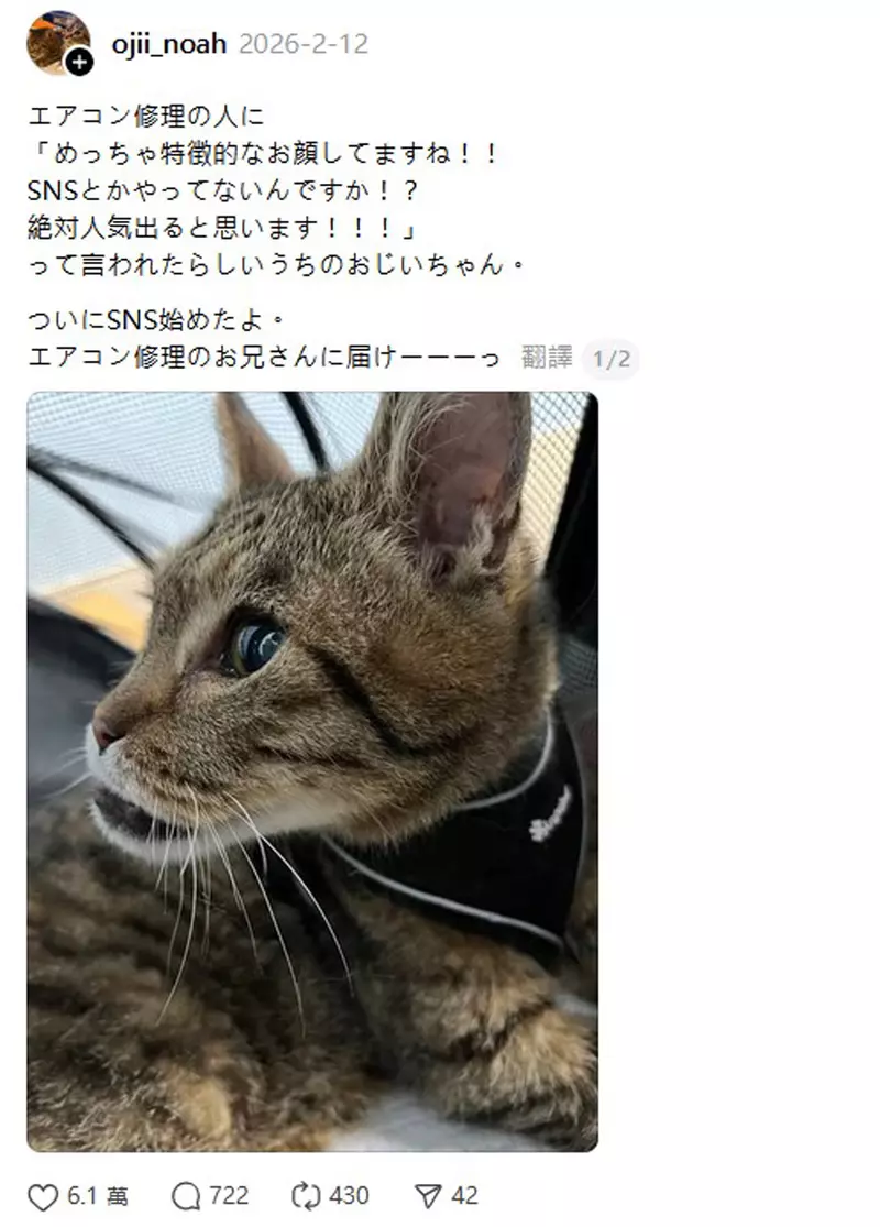 圖片2