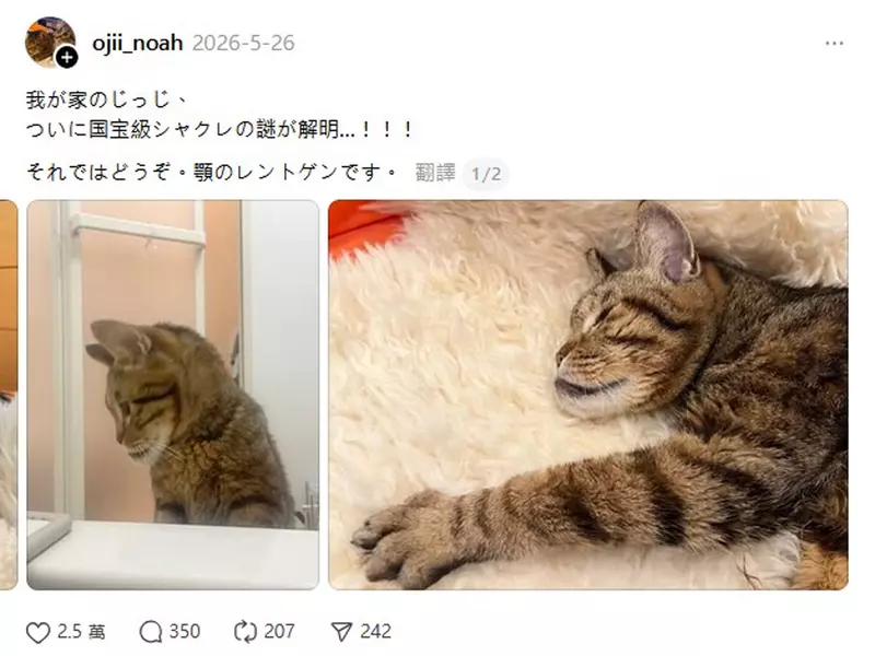 圖片3