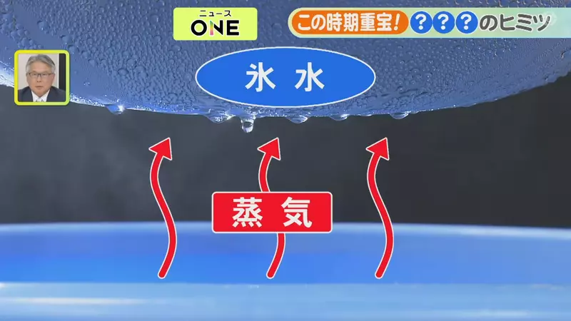 圖片8