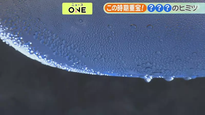 圖片7