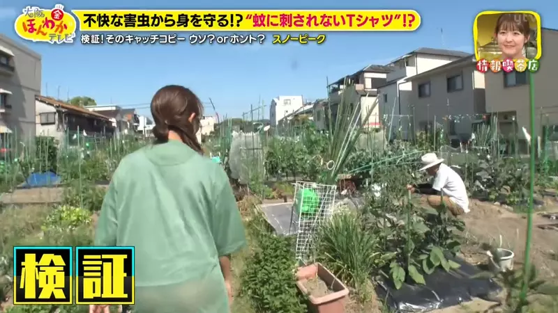 圖片9 圖片9
