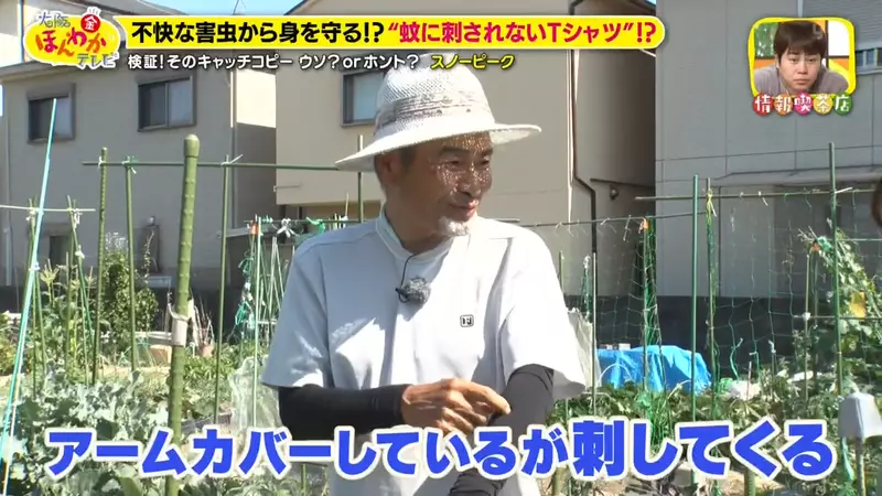 圖片12 圖片12