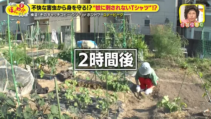 圖片14 圖片14