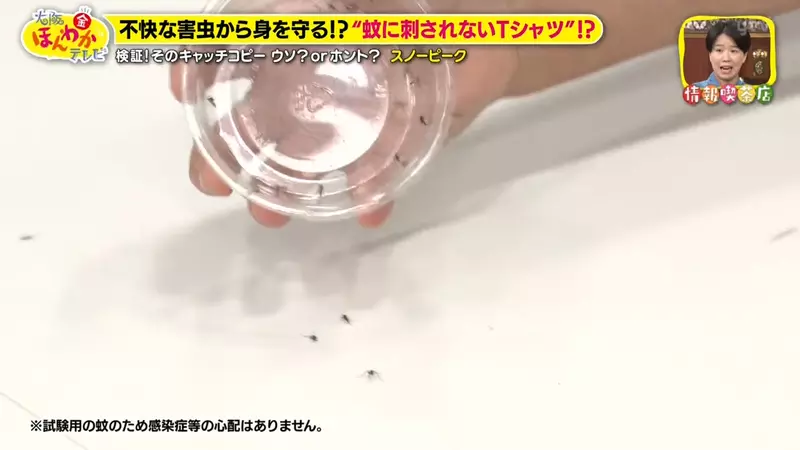 圖片21 圖片21