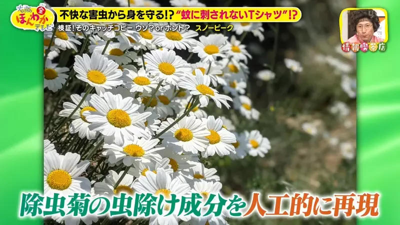 圖片32 圖片32
