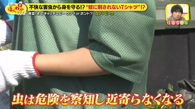 圖片33 圖片33