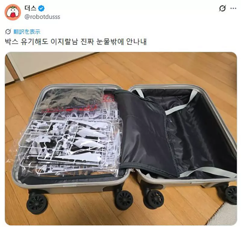 圖片12 圖片12