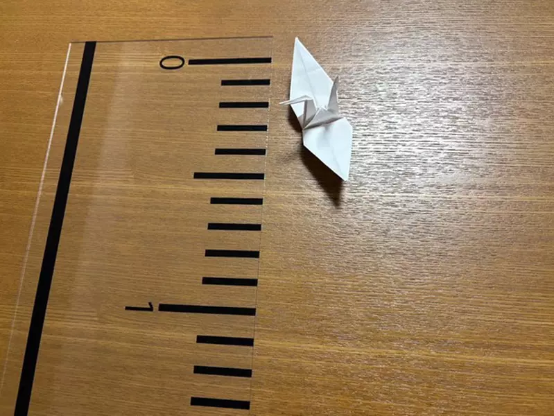 圖片10