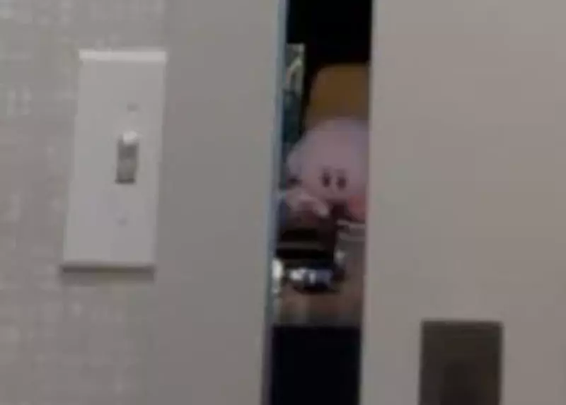圖片8