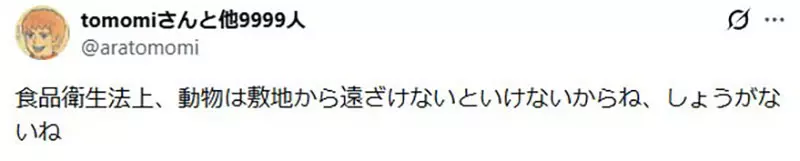 圖片13