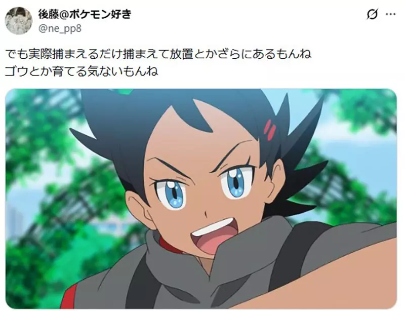 圖片17 圖片17