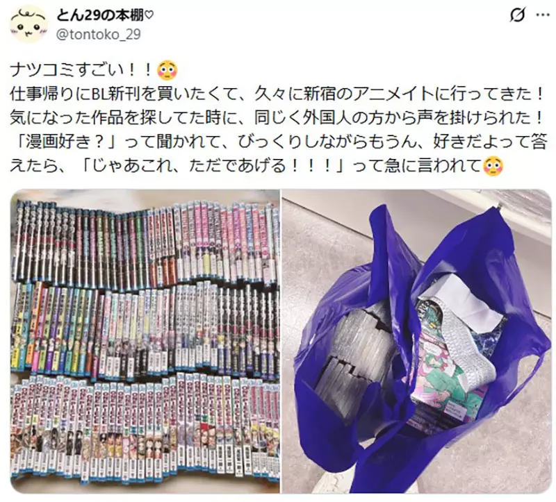 圖片11 圖片11