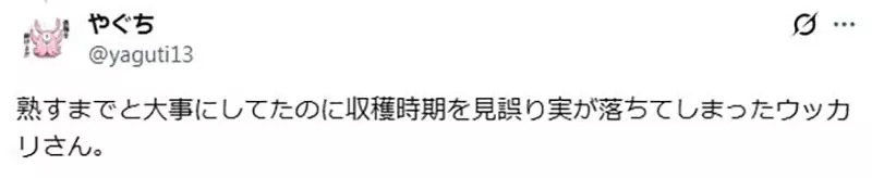 圖片4