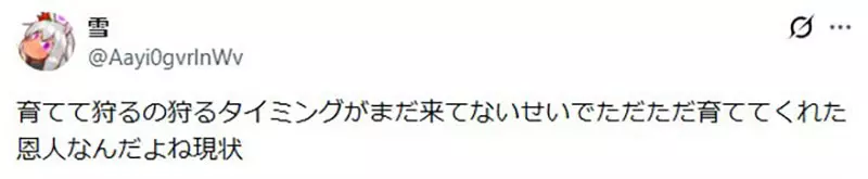 圖片14