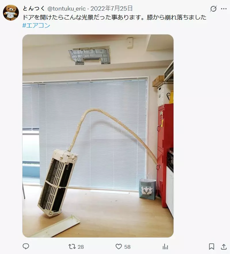 圖片13 圖片13