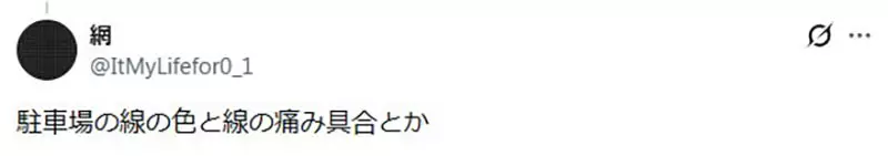 圖片15 圖片15
