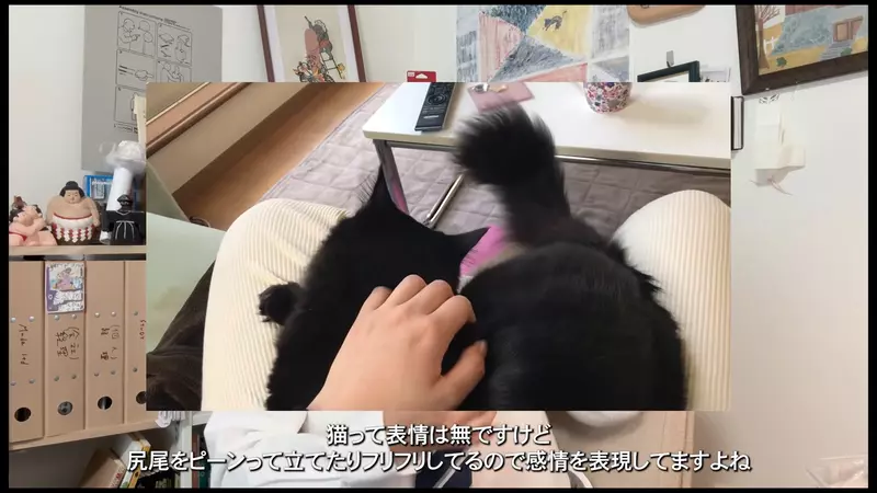 圖片3