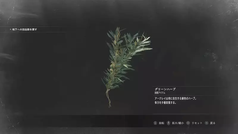 圖片2