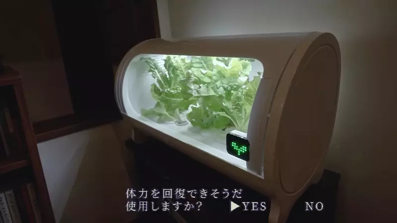 圖片5