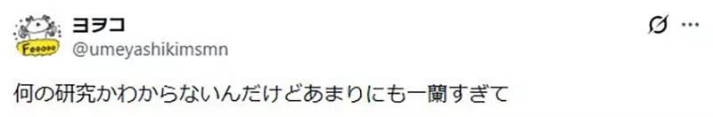 圖片10 圖片10