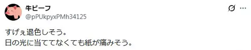 圖片12