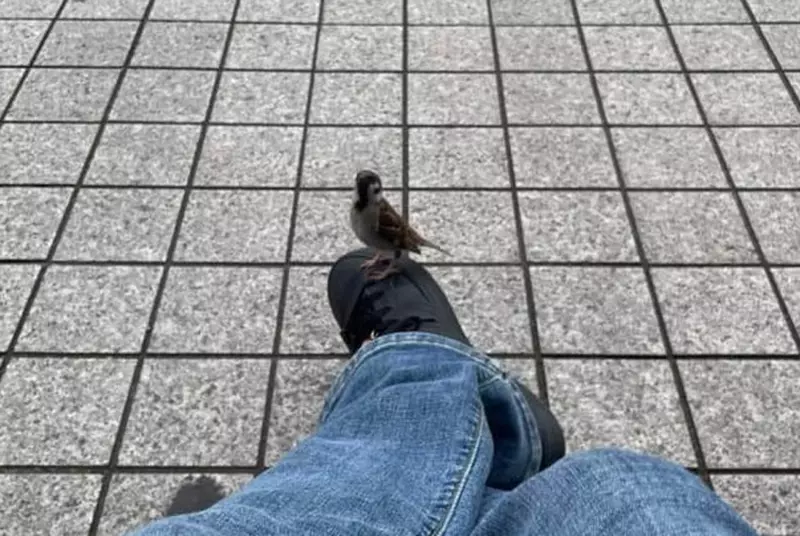 圖片1 圖片1
