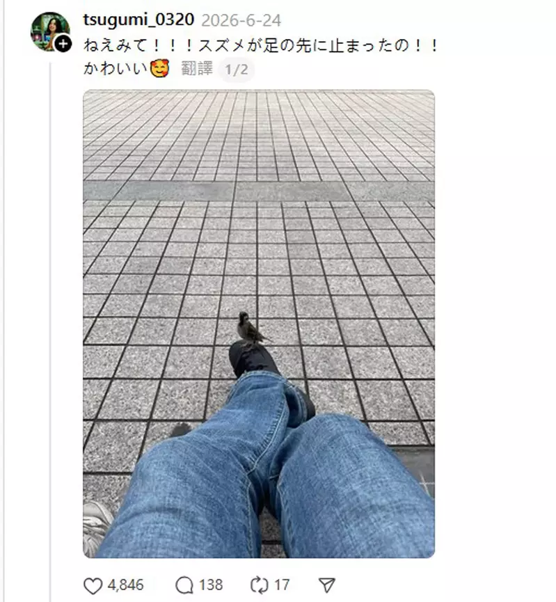 圖片4 圖片4