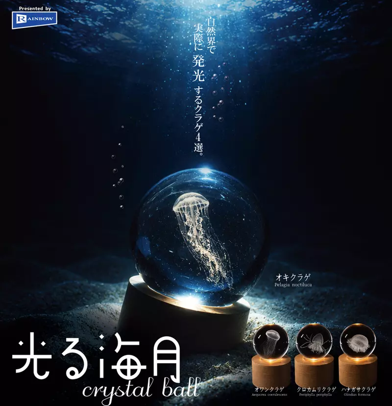 圖片6 圖片6