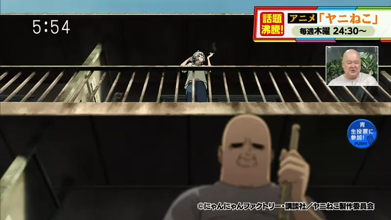 圖片8