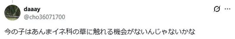 圖片9