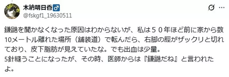 圖片7