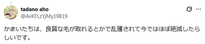 圖片17