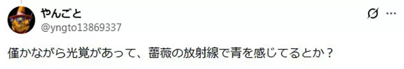 圖片14 圖片14