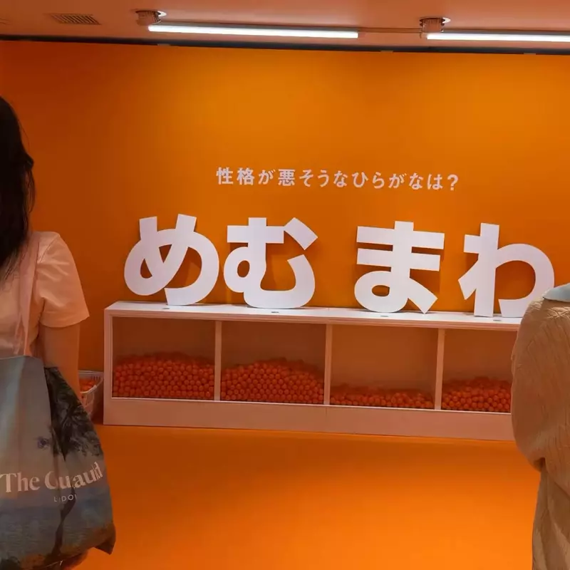 圖片5 圖片5