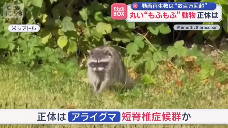 圖片5