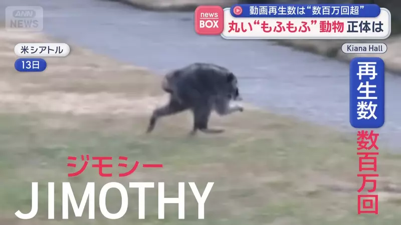 圖片2