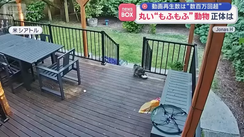 圖片3