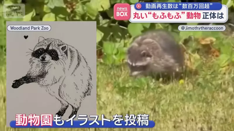 圖片6