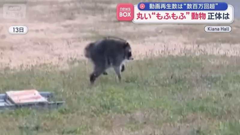 圖片1