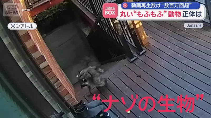 圖片4